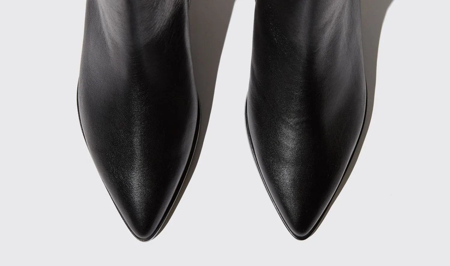 Discount Scarosso Alba Nera Black - Calf