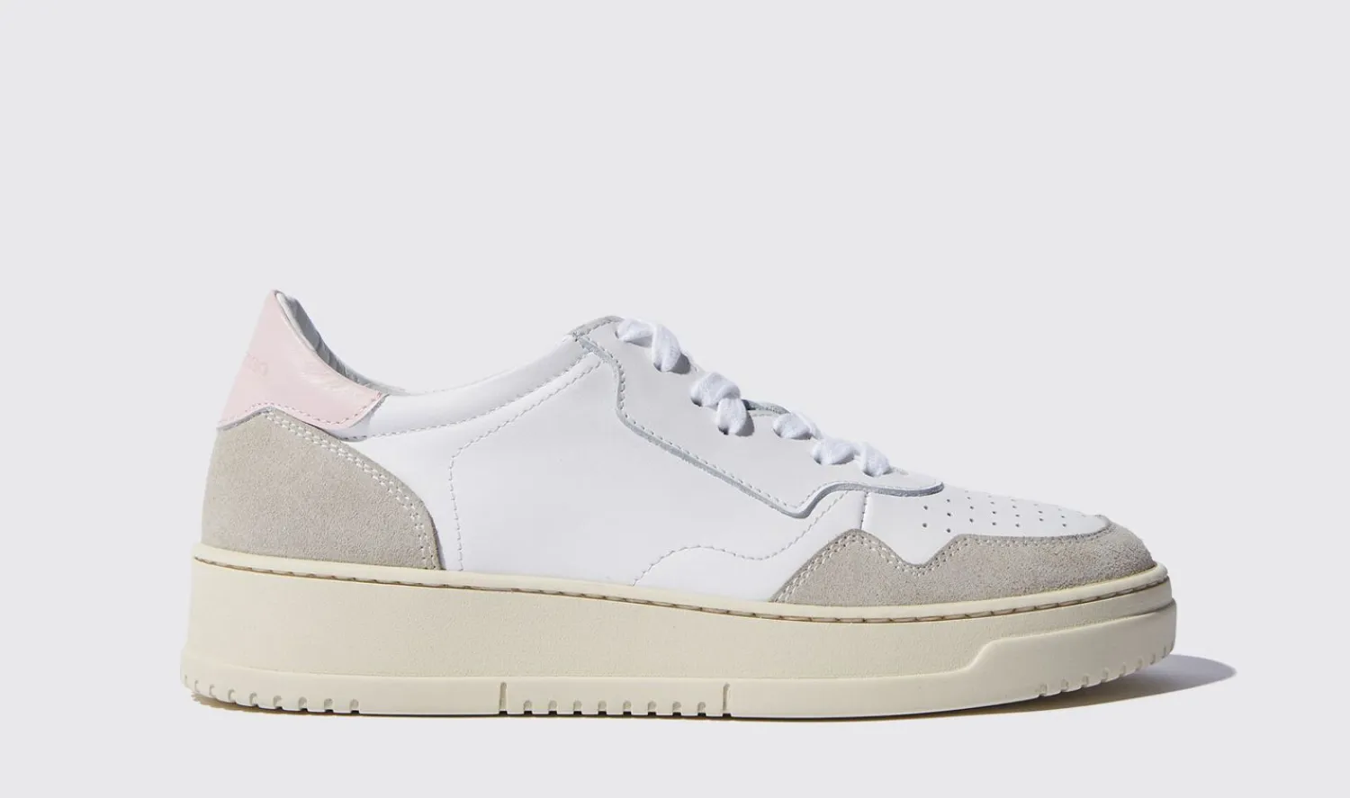 Cheap Scarosso Alexia Pink Edit White/Pink - Calf