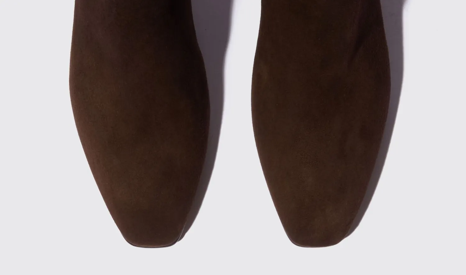 New Scarosso Ambra Marrone Scamosciata Brown - Suede