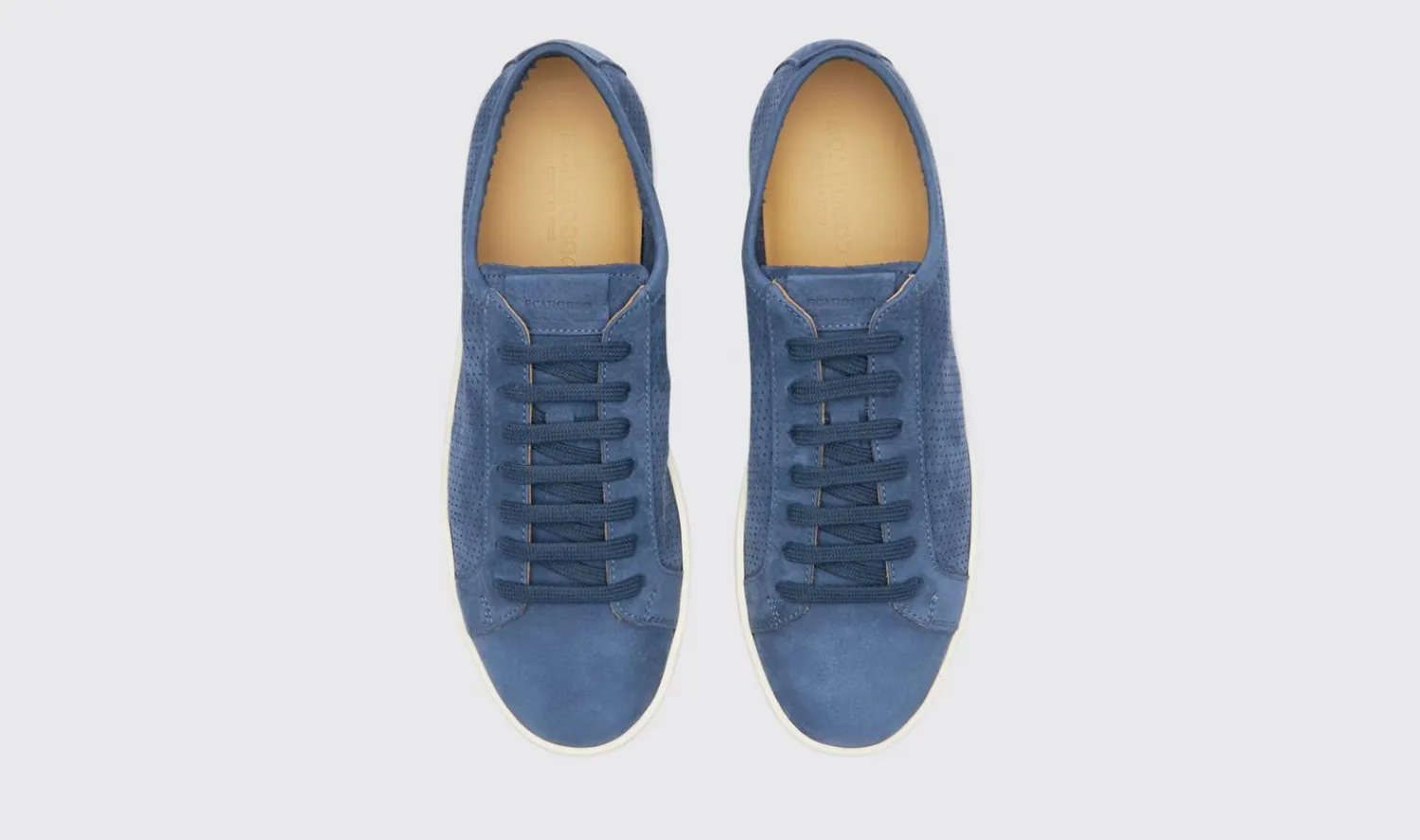 Cheap Scarosso Camillo Blue Nubuck Blue - Nubuck