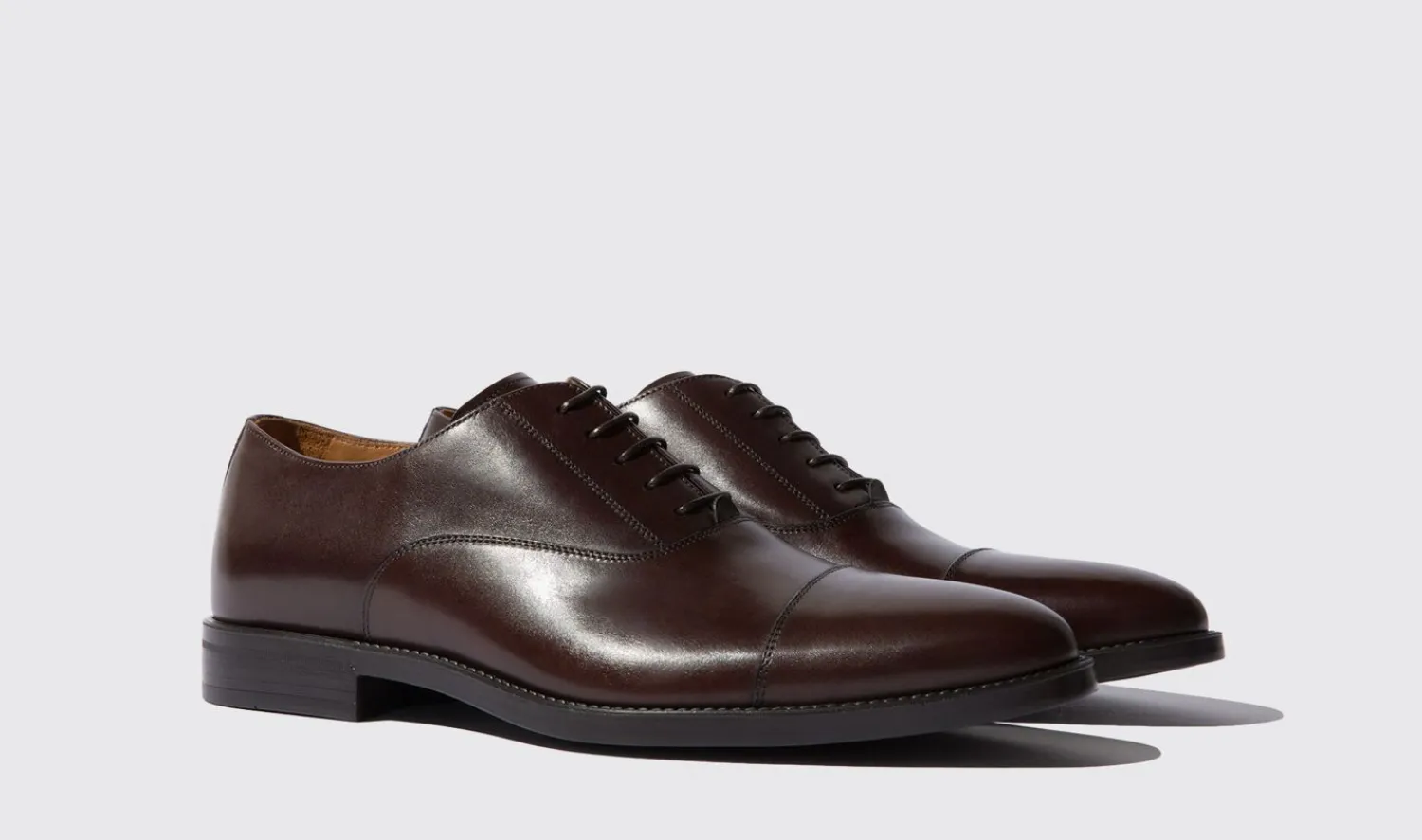 Fashion Scarosso Cesare Moro Dark Brown Calf
