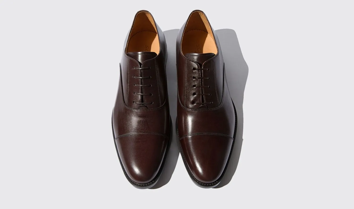 Fashion Scarosso Cesare Moro Dark Brown Calf