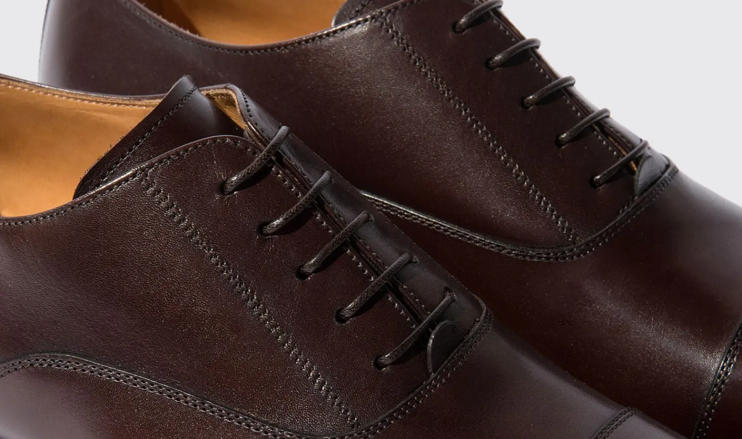 Fashion Scarosso Cesare Moro Dark Brown Calf