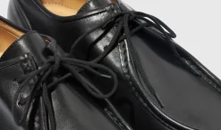 Shop Scarosso Damiano Black Black- Calf