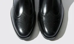 Shop Scarosso Dario Nero Black Calf