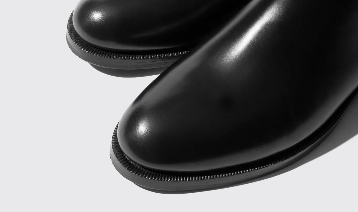 Shop Scarosso Elena Black - Calf