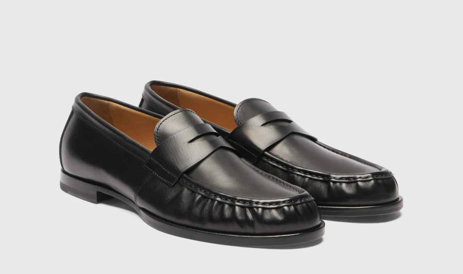 Shop Scarosso Fred Black Black - Calf