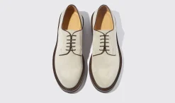 Shop Scarosso Harry Sand Suede Sand - Suede