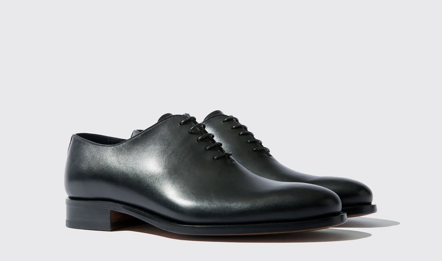 Shop Scarosso Ignazio Black Calf