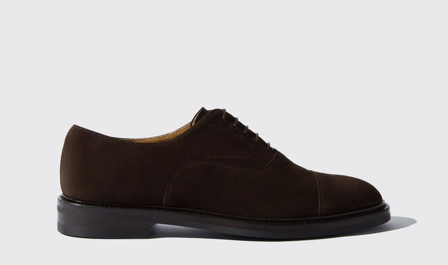 Cheap Scarosso Jacob Brown Suede