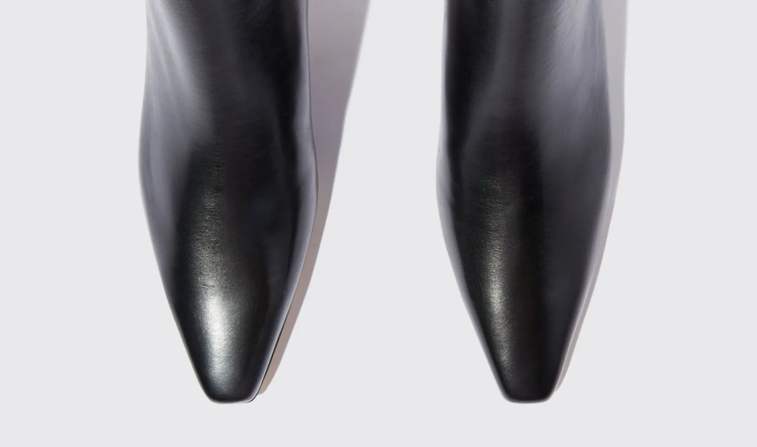 Online Scarosso Kitty Black Black - Calf