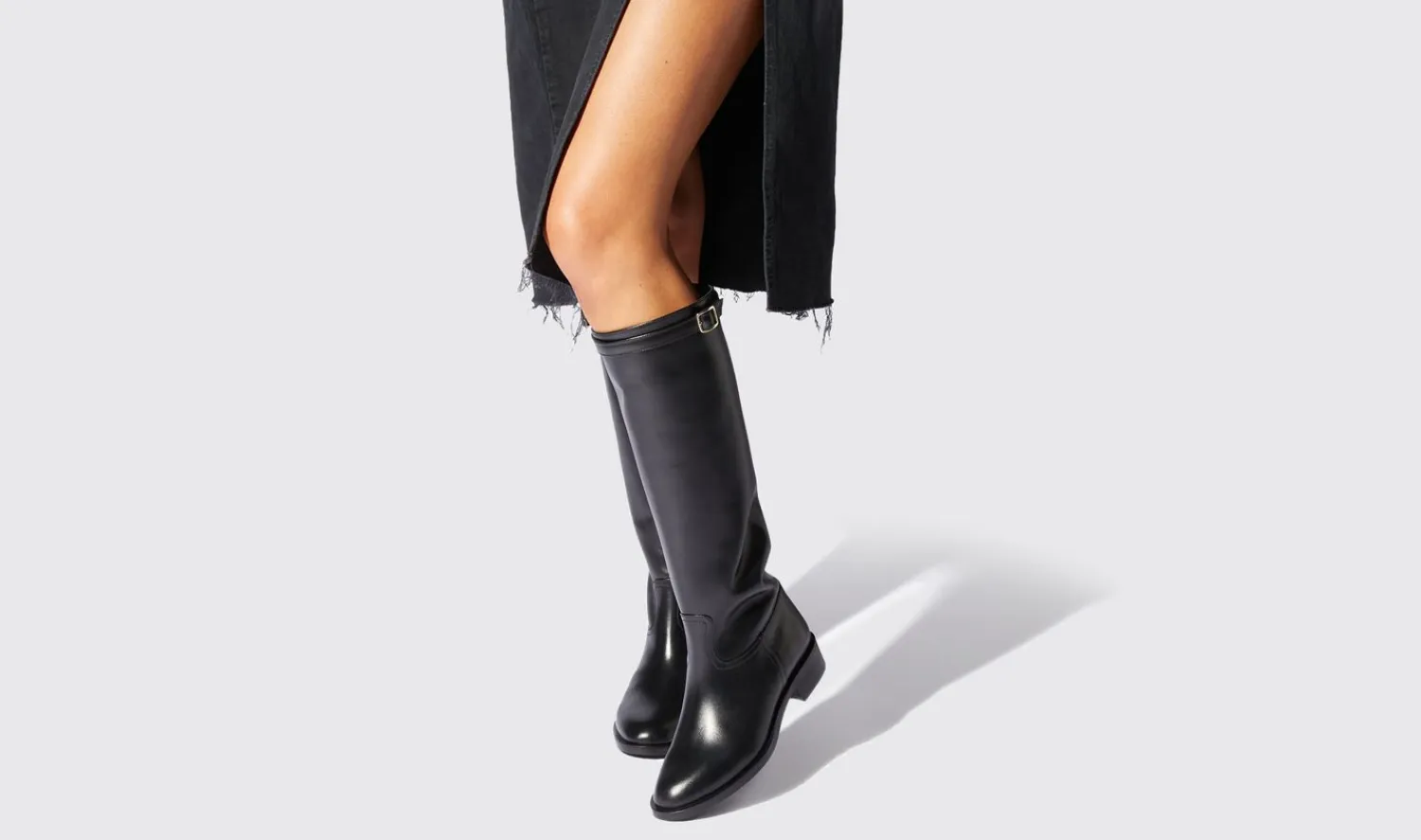 Cheap Scarosso Lauren Black Black - Calf