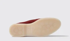 Shop Scarosso Ludovica Bordeaux Scamosciata Burgundy - Suede