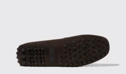 Discount Scarosso Michael Brown Suede Dark Brown - Suede