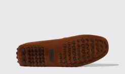 Fashion Scarosso Michael Cigar Suede Brown - Suede
