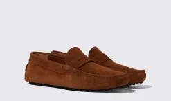 Fashion Scarosso Michael Cigar Suede Brown - Suede