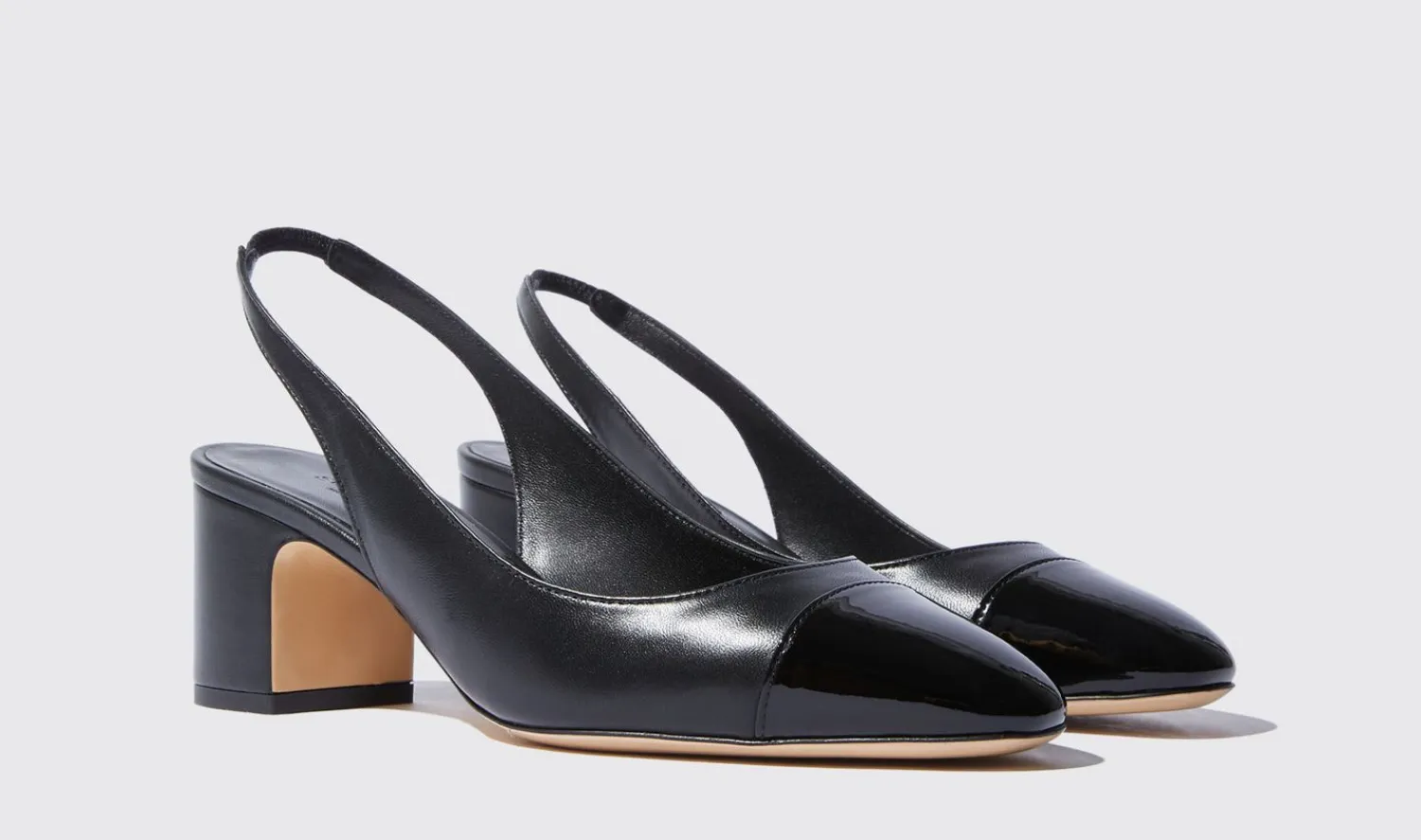 Shop Scarosso Miranda Black Black - Calf