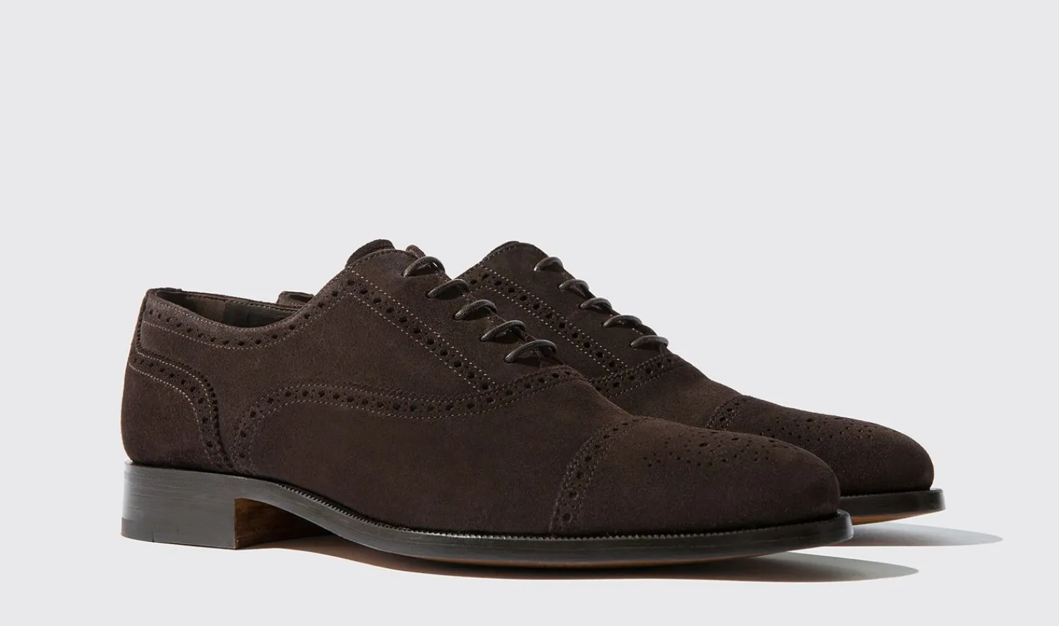 Shop Scarosso Roberto Dark Brown Suede