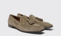 Fashion Scarosso Rodolfo Taupe Suede Taupe - Suede