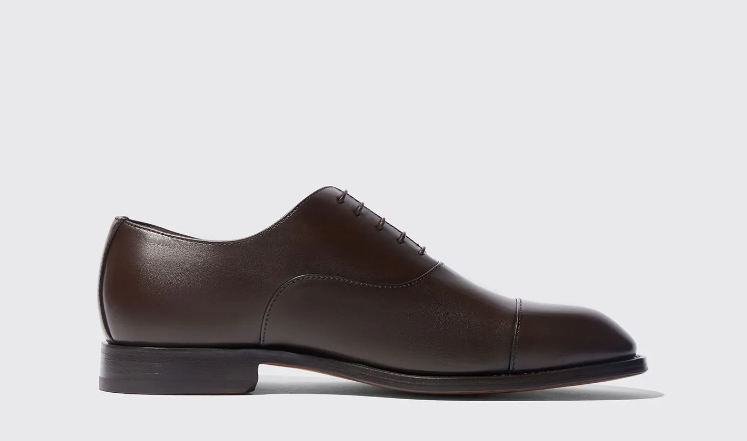 Cheap Scarosso Salvatore Brown Brown - Calf
