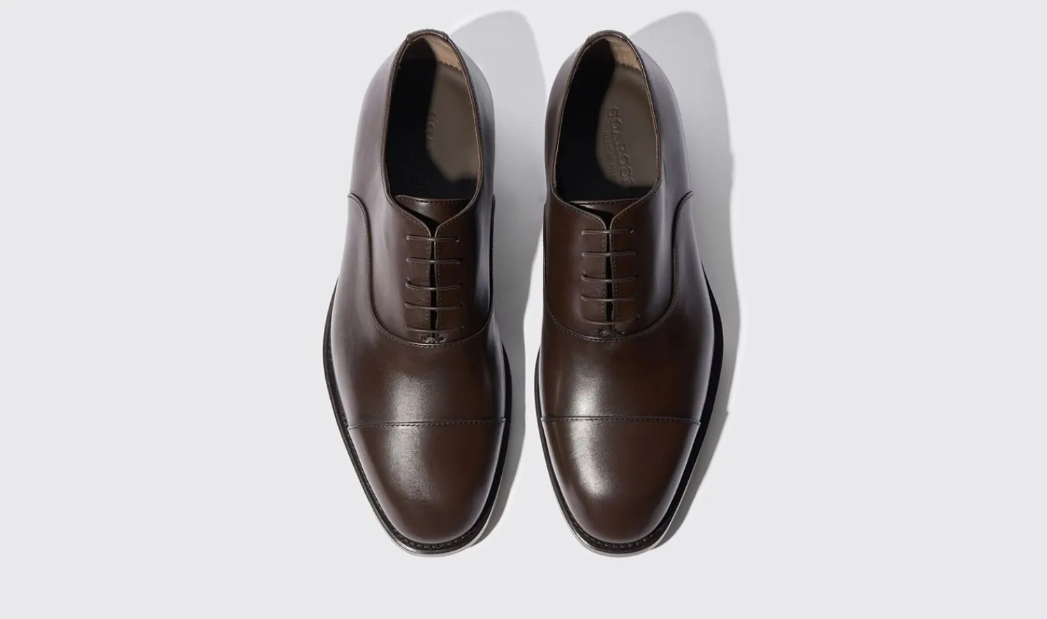 Cheap Scarosso Salvatore Brown Brown - Calf