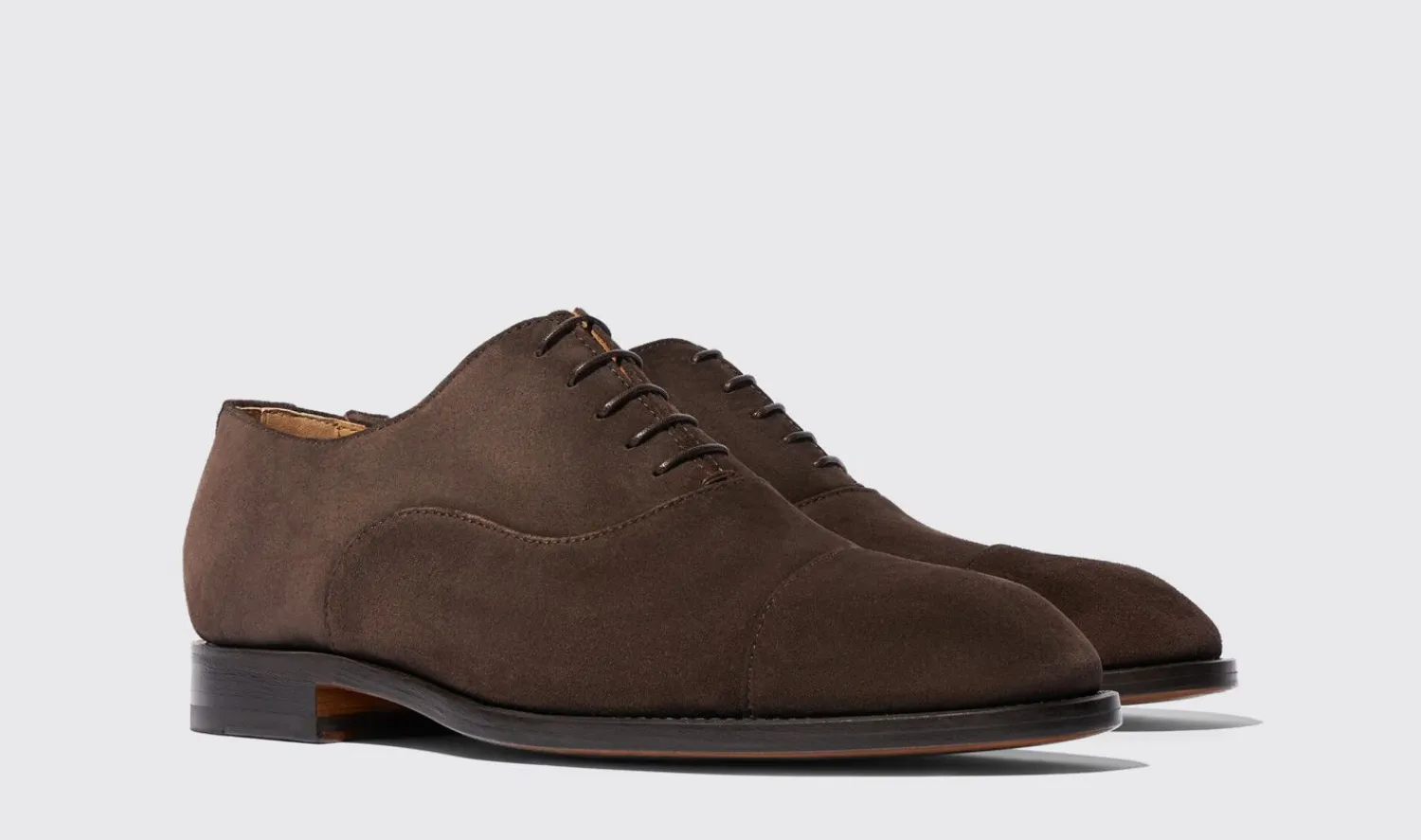 Shop Scarosso Salvatore Brown Suede Brown - Suede