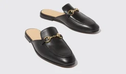 Fashion Scarosso Serena Black Black - Calf