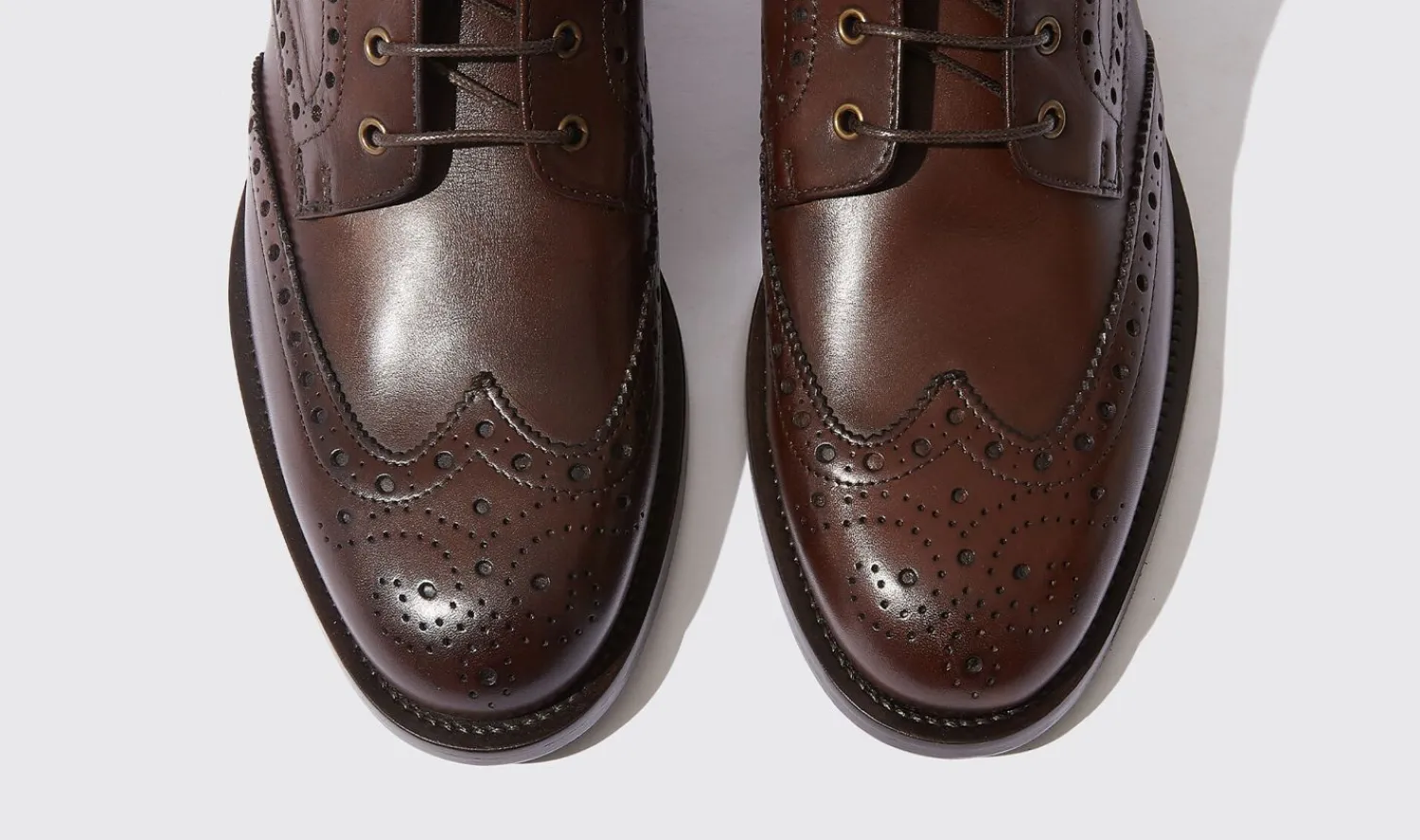 Cheap Scarosso Stefania Marrone Dark Brown - Calf