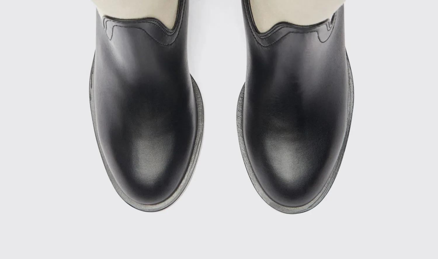 Online Scarosso Tess Black Canvas Black - Calf