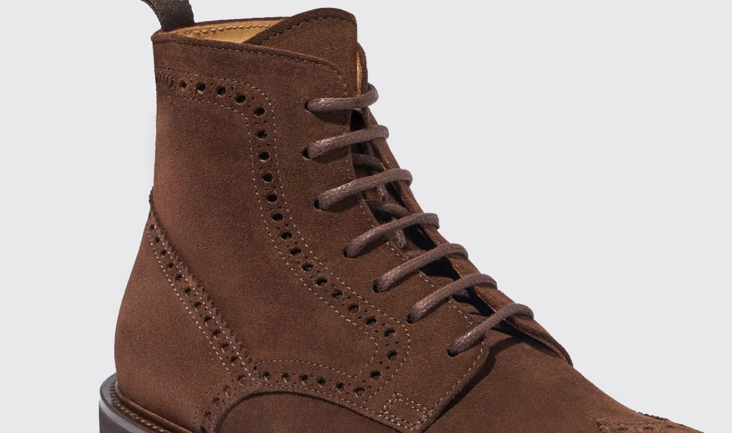 Store Scarosso Thomas Brown Suede Brown - Suede