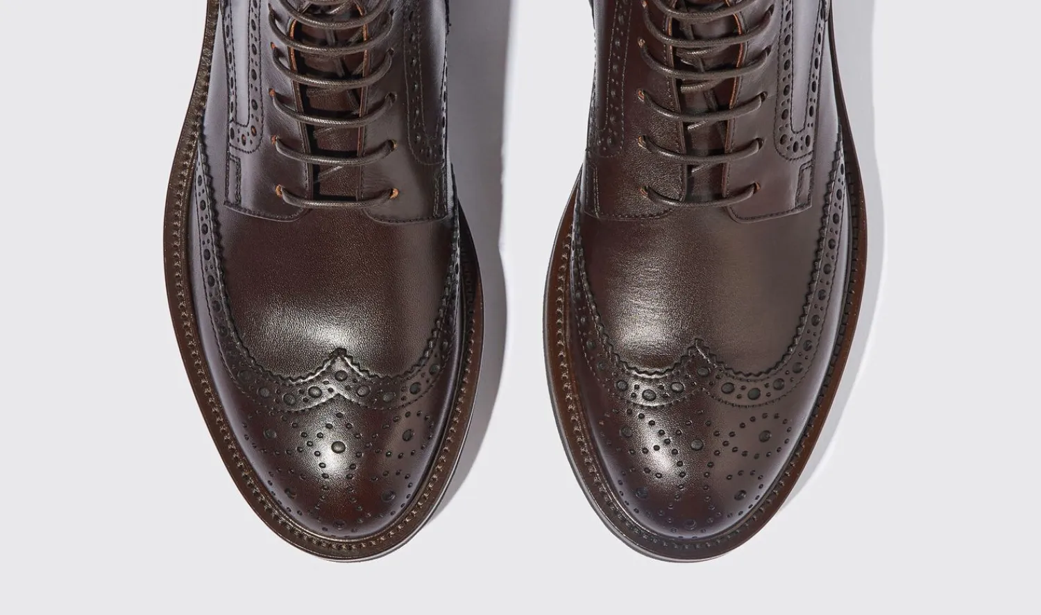 Online Scarosso Thomas Dark Brown Dark Brown - Calf