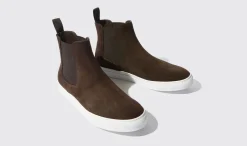 Shop Scarosso Tommaso Moro Scamosciato Brown - Suede