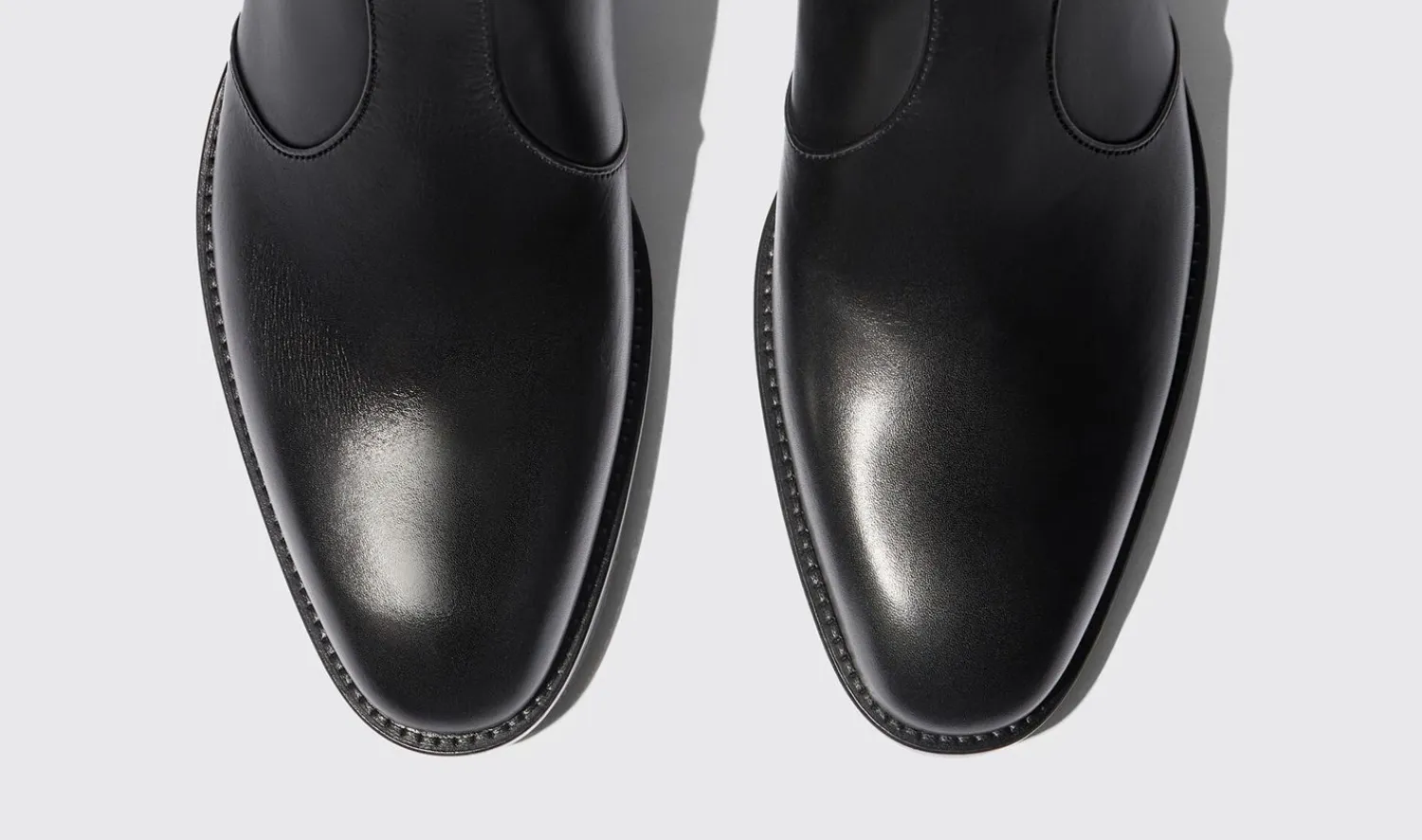Discount Scarosso Warren Black Black - Calf