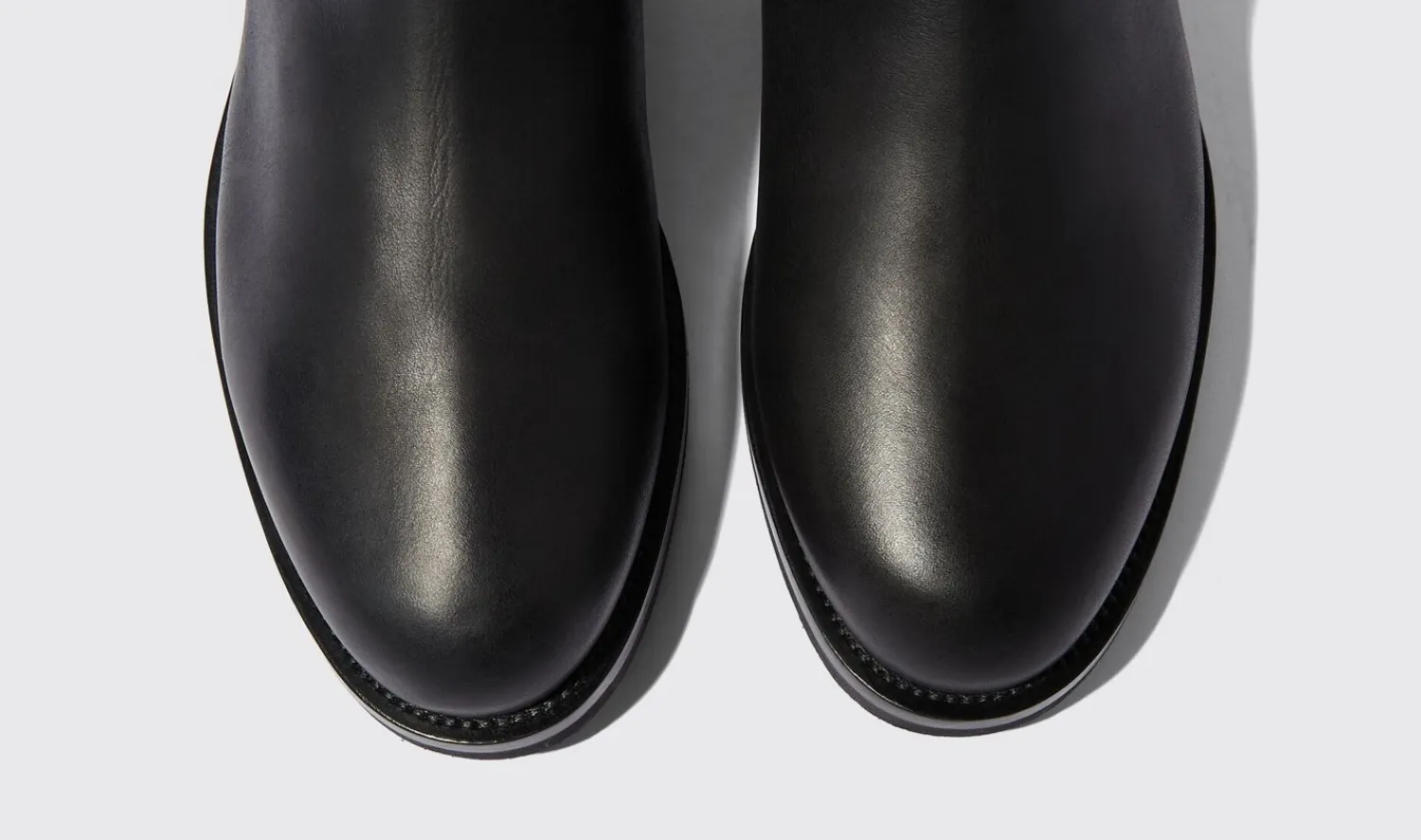 Discount Scarosso William Iii Black Black - Calf