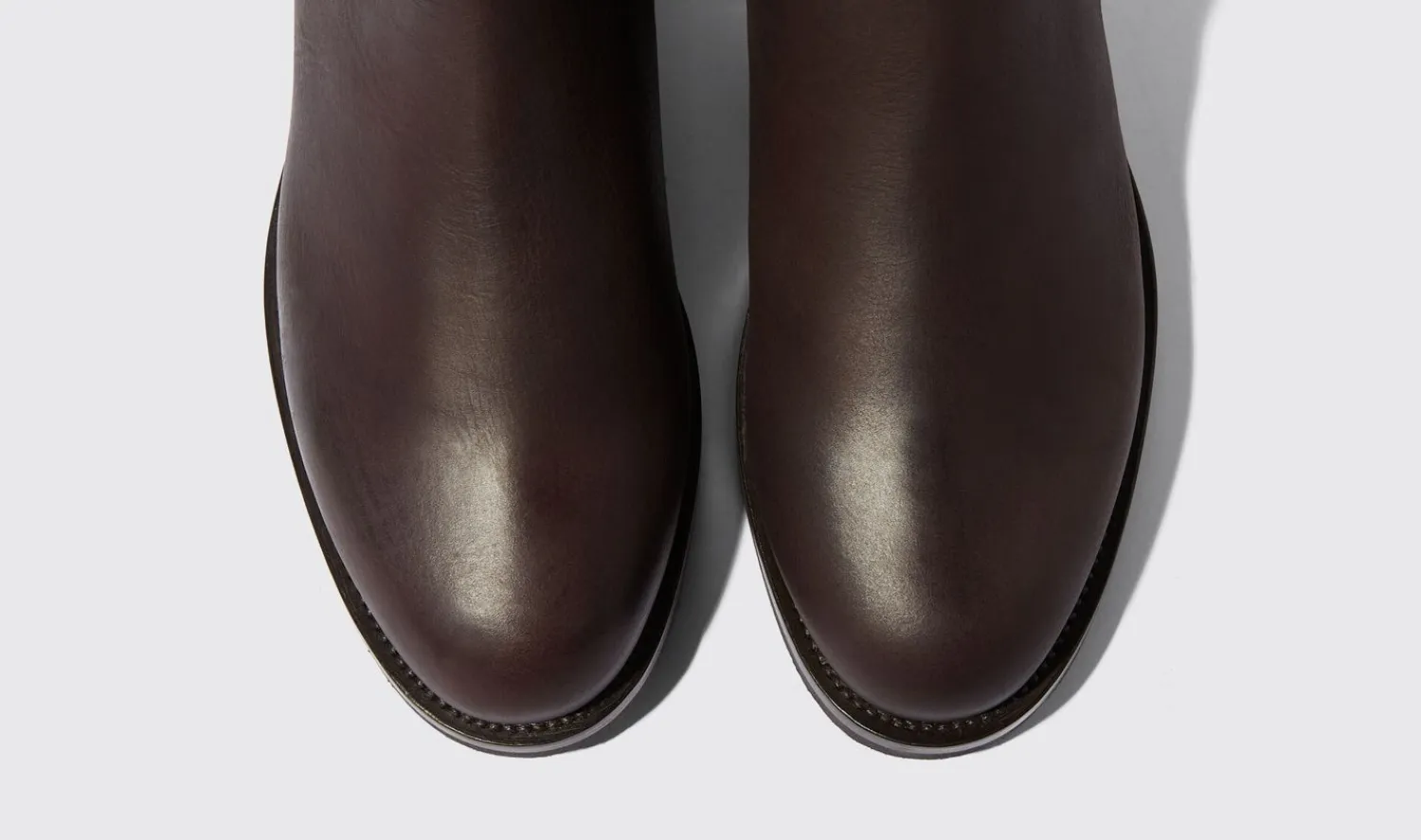 Store Scarosso William Iii Brown Brown - Calf