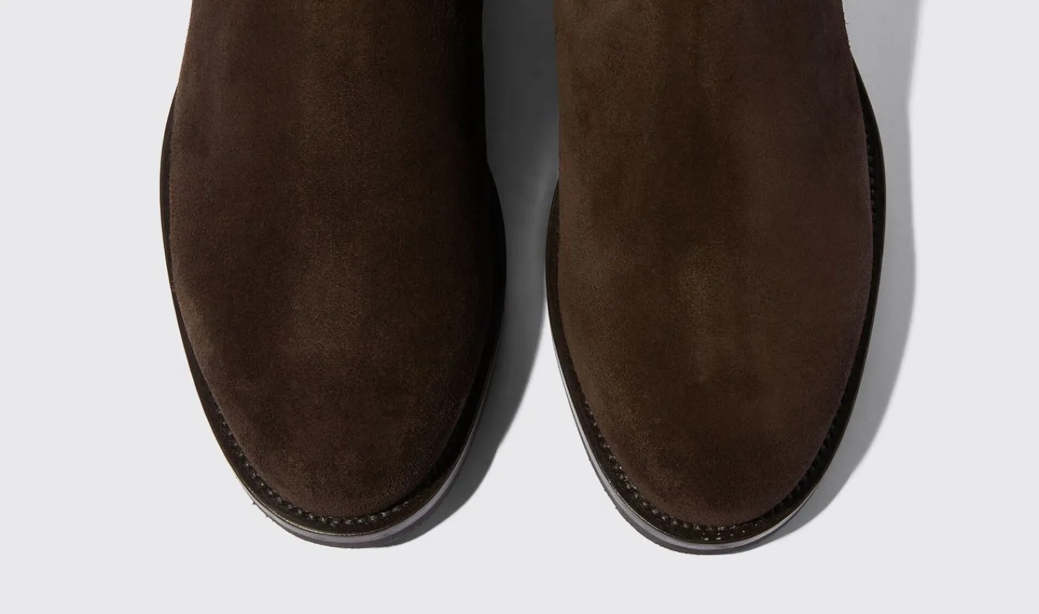 Discount Scarosso William Iii Brown Suede Brown - Suede