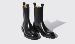 Fashion Scarosso Wooster Black Black - Brushed Calf