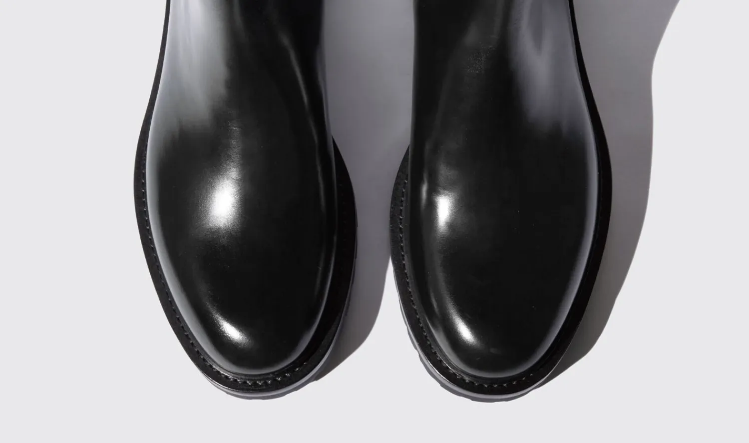 Fashion Scarosso Wooster Black Black - Brushed Calf