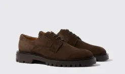 New Scarosso Wooster Iii Brown Suede Brown - Suede